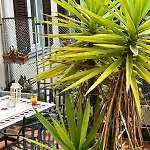La Corte Dei Cappuccini 아파트 *
